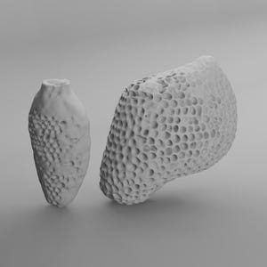 May include: Two white, textured, organic-shaped sculptures. One is a tall, vase-like form, and the other is a rounded, porous shape. The objects are set against a plain, light gray background.