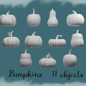 Puede incluir: Once calabazas blancas de varias formas y tamaños están dispuestas sobre un fondo verde azulado. Las calabazas tienen tallos y superficies texturizadas. Las palabras "Pumpkins" y "11 objects" están escritas en cursiva.