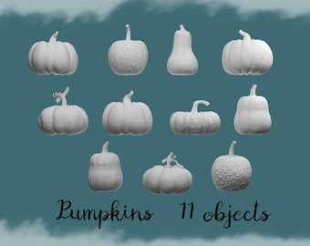 May include: Eleven white pumpkins of various shapes and sizes are arranged on a teal background. The pumpkins have stems and textured surfaces. The word "Pumpkins" and "11 objects" are written in a script font.