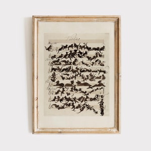 Lámina artística de la Sinfonía del Gato Negro, Moody Dark Academia, partitura para violín