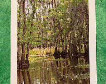 Louisiana Swamp Tour Canvas Print