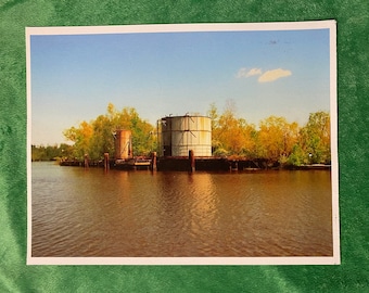 Louisiana Swamp Canvas Print