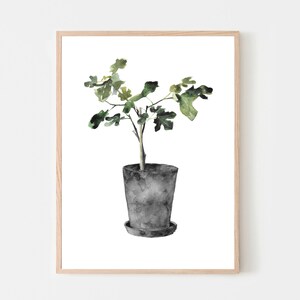 Poster, Print, Figs, Plant, Nature, Green, Grey, Watercolor,  Farmhouse, Nature, Art, Hand Painting, Original, Wall art, Deco, Wall deco