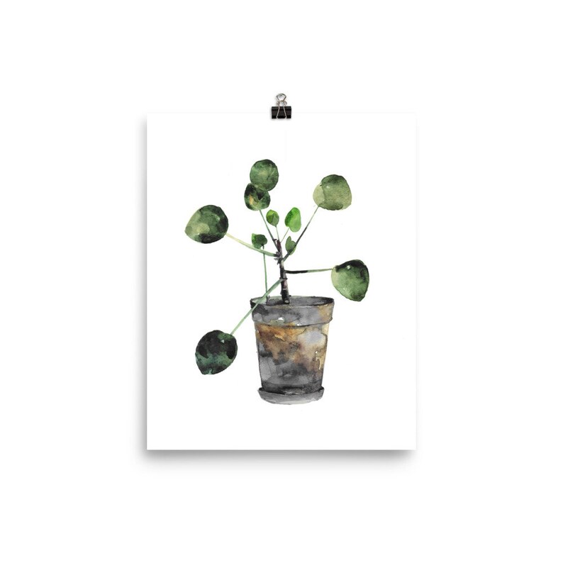 Pilea Plant Watercolor Art Print, Botanical Wall Decor - Etsy