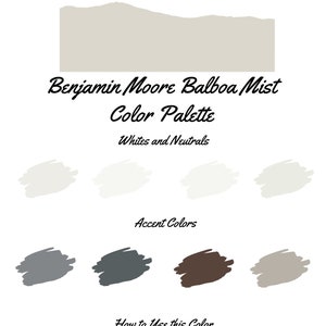 Balboa Mist by Benjamin Moore whole home color palette - interior paint palette