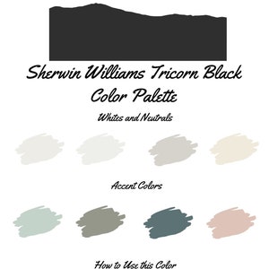 Tricorn Black by Sherwin Williams Whole Home Color Palette