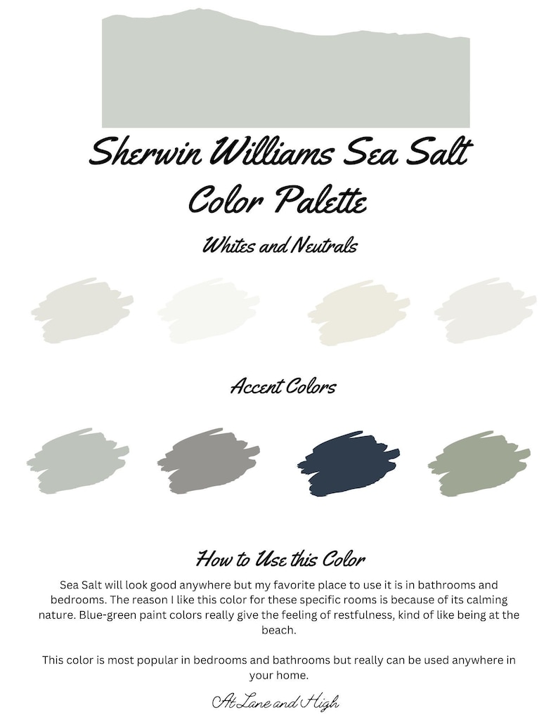 Sea Salt by Sherwin Williams Whole Home Color Palette Interior Paint