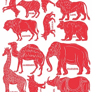 Animals / Animales in Spanish Poster Graphic Tee