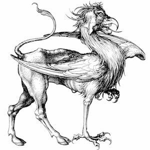 Greifling / Greif / Gryphon Fabelwesen Grafik T-Shirt