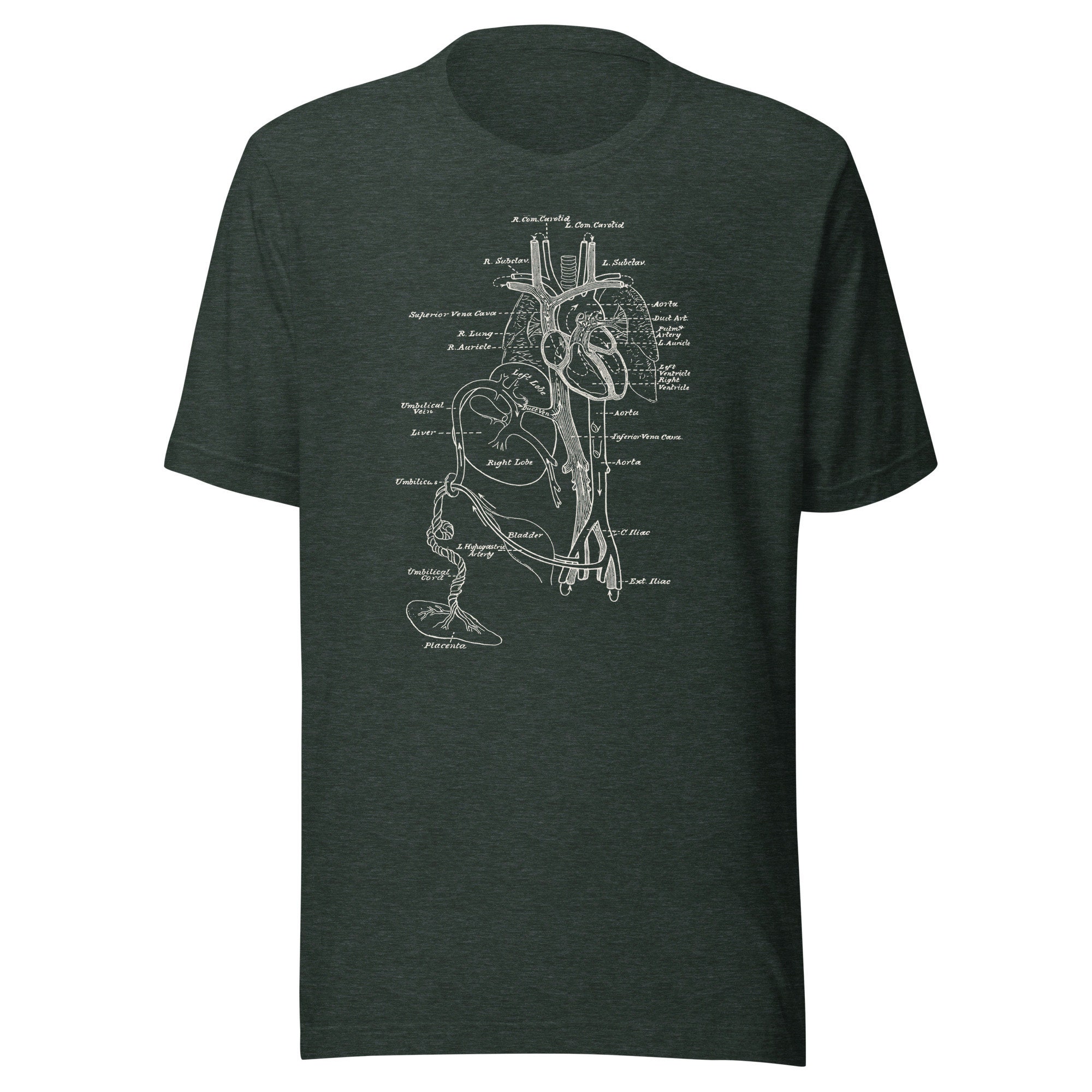 Human Body With Heart Anatomy Vintage Graphic Tee - Etsy