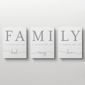K&ouml;nnte beinhalten: Drei wei&szlig;e Leinw&auml;nde mit dem Wort "FAMILY" in grauen Buchstaben. Die erste Leinwand sagt "Ein bisschen laut", die zweite sagt "Ein bisschen verr&uuml;ckt", und die dritte sagt "Eine Menge Liebe".