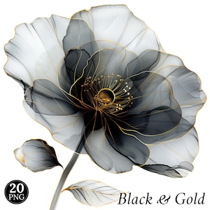 Imágenes prediseñadas de flores abstractas, impresión de flores en acuarela, negro, transparente, PNG, imágenes prediseñadas de flores, acuarela, floral, negro, dorado, flor, descarga instantánea
