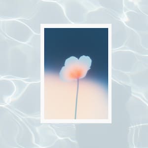 Ethereal Flower Art Print | Blue Peach Gradient, Minimalist Modern | Digital Download