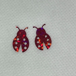 Coriandoli glitterati coccinella