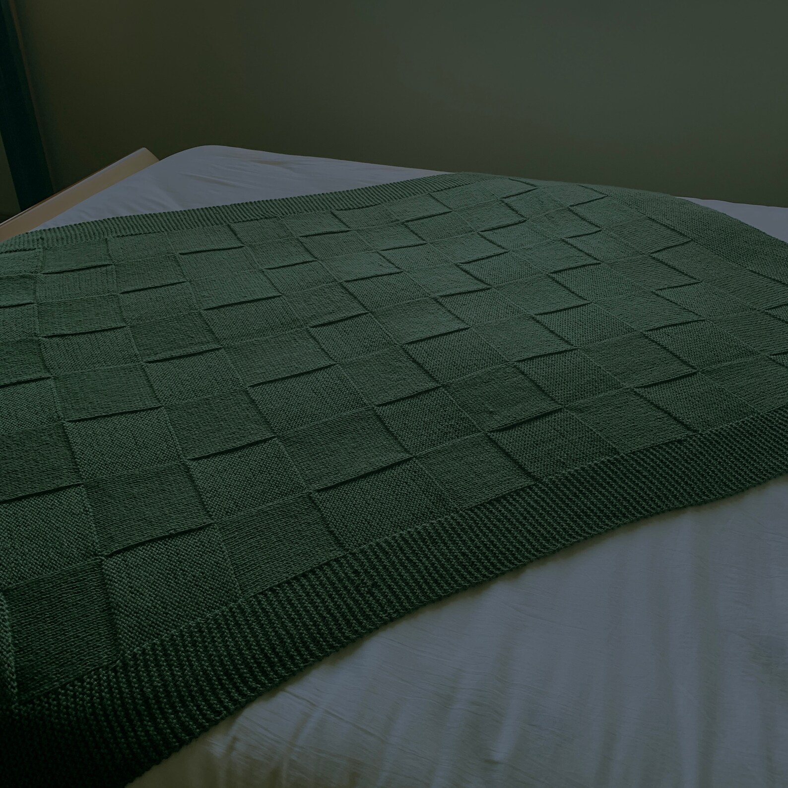 Olive Forest Green Throw Blanket Etsy