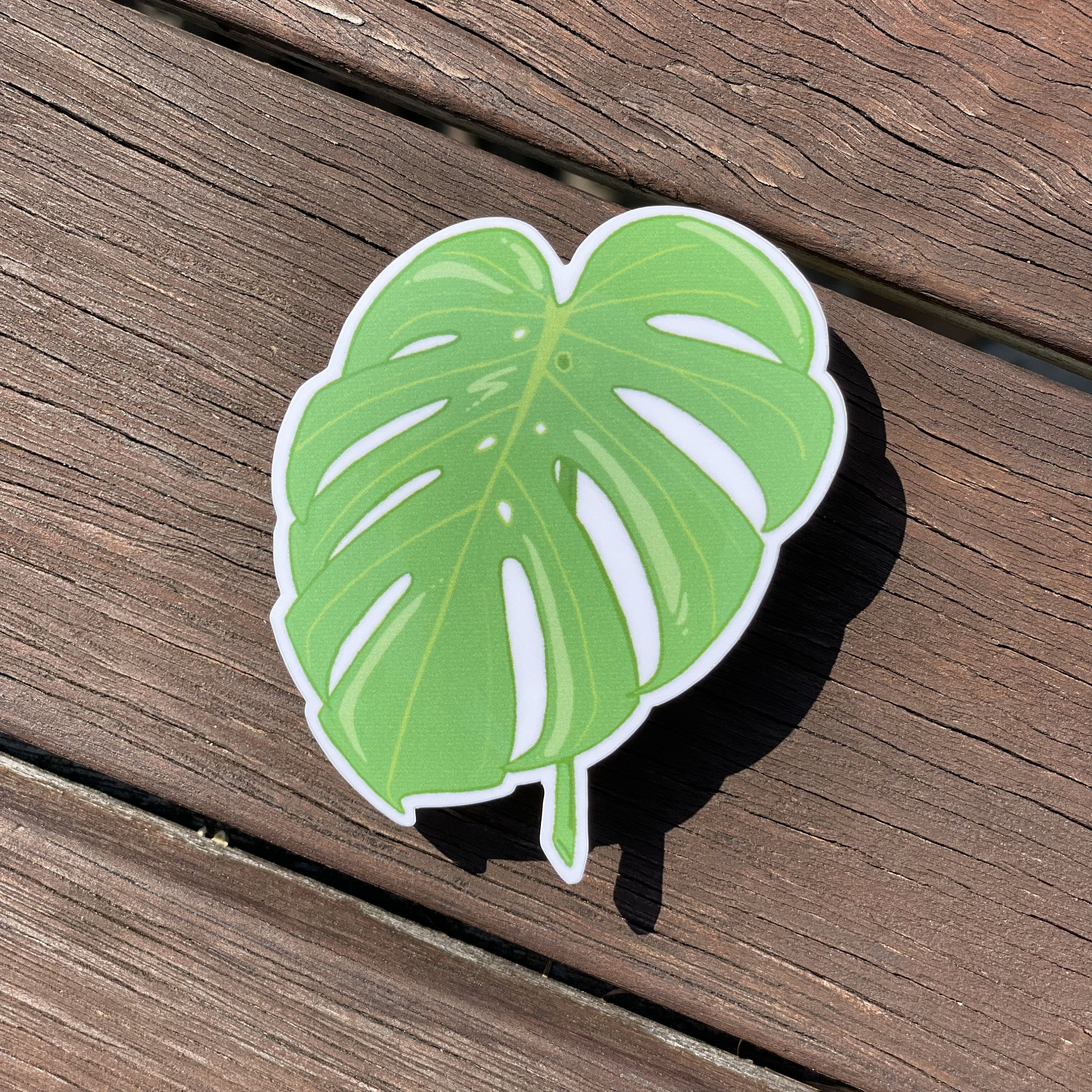 Monstera Deliciosa Sticker Leaf Sticker - Etsy