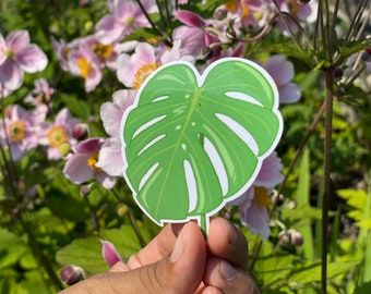 Monstera Deliciosa Sticker Leaf Sticker