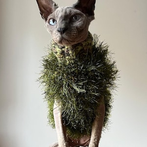 May include: A hairless cat with blue eyes wearing a textured, olive green, shaggy-knit sweater. The garment features a high, ribbed collar with a variegated brown and green pattern, transitioning into a long, grass-like, fuzzy green texture.