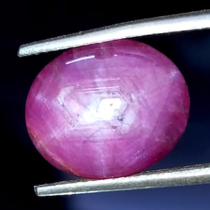 Può includere: Una pietra preziosa di rubino ovale rosa con un motivo a forma di stella all'interno. Il rubino è tenuto da una pinzetta.