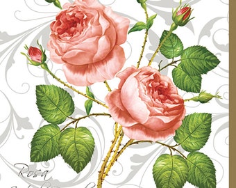 3-PLY Flower Tissue Paper Decoupage Serviettes 33cm x 33cm Lunch Serviettes - Paquet de 20 (Rosa Centifolia White)