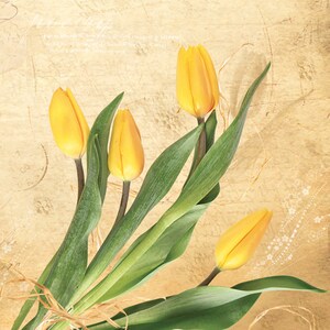 3-lagige Blumen Seidenpapier Decoupage Servietten 33cm x 33cm Lunch Servietten - 20er Pack (Bund gelbe Tulpen)