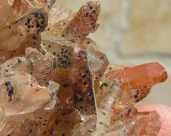 Goethite in Quartz - Mini Cluster - 34x27x23mm / 16.1g - Rare Inclusions - DR Congo - 1990's - Red and Black Spotted Quartz