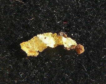 Native Gold Leaf Crystal - Little Jonny Mine (Ibex Mine), Leadville, Colorado, USA - SMALL: 9x2mm