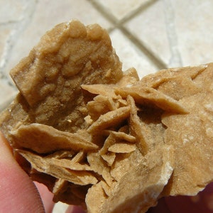 Selenite Desert Rose - Keetmanshoop, Namibia - 46x38x36mm / 26.4g - Unusual Formation from a Rare Locality