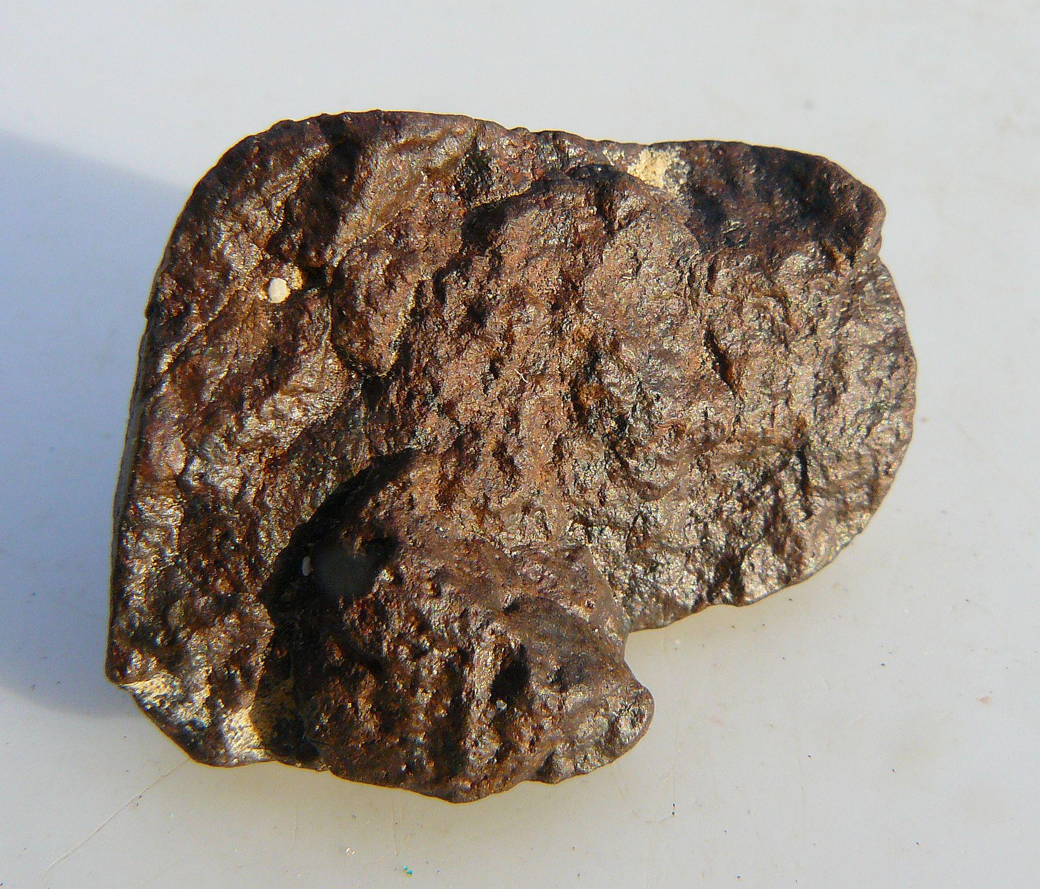 不明NWA隕石 - ラージ: 33x25x18mm / 16.8g - モロッコ産の美しいク