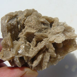 Selenit Wüstenrose - Keetmanshoop, Namibia - 45x45x35mm / 30,1g - Ungewöhnliche Formgebung von einer seltenen Fundstelle
