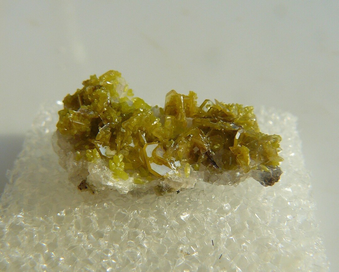 Wulfenite With Mimetite Crystals Yuma Co., Arizona, USA Old Micromount in Perky Box SMALL