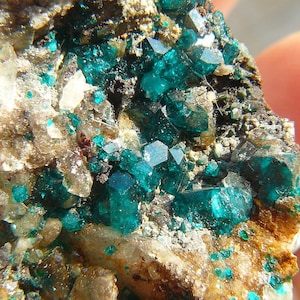 Dioptase on Quartz - LARGE: 75x50x42mm / 127.0g - Old stock (2003) - Kaokoveld, Namibia - Excellent Specimen from 20 years ago