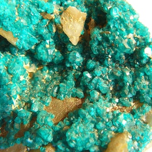 Dioptase on Quartz - XLARGE: 110x78x50mm / 362g - Old stock (2003) - Kaokoveld, Kunene, Namibia - Excellent RICH Specimen