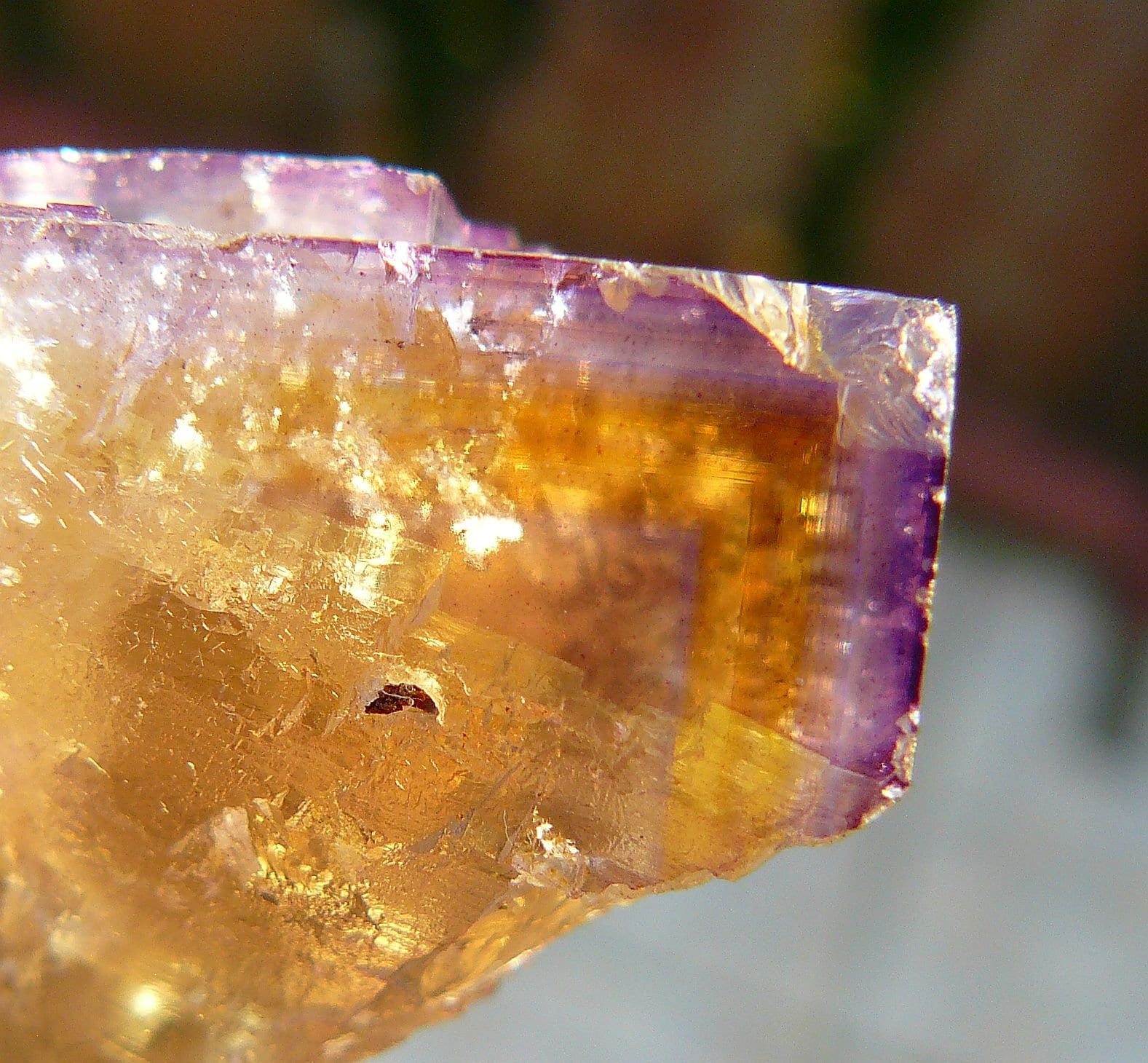 Buy Minerva Mine Online In India - Etsy India