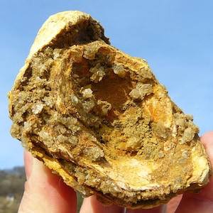 Op de afbeelding: Een close-up van een versteende schelp met een ruwe, bruine buitenkant en een gladde, witte binnenkant. De schelp is bedekt met kleine, heldere kristallen.