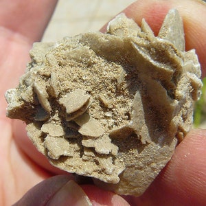 Selenite Desert Rose - Keetmanshoop, Namibia - 33x30x26mm / 11.8g - Unusual Formation from a Rare Locality