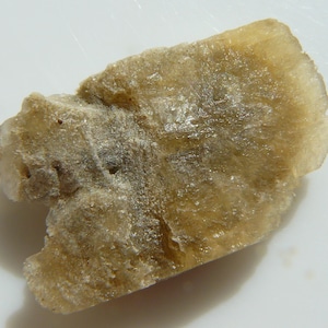 Selenite Desert Rose - Keetmanshoop, Namibia - 36x22x6mm / 6.1g - Unusual Formation from a Rare Locality
