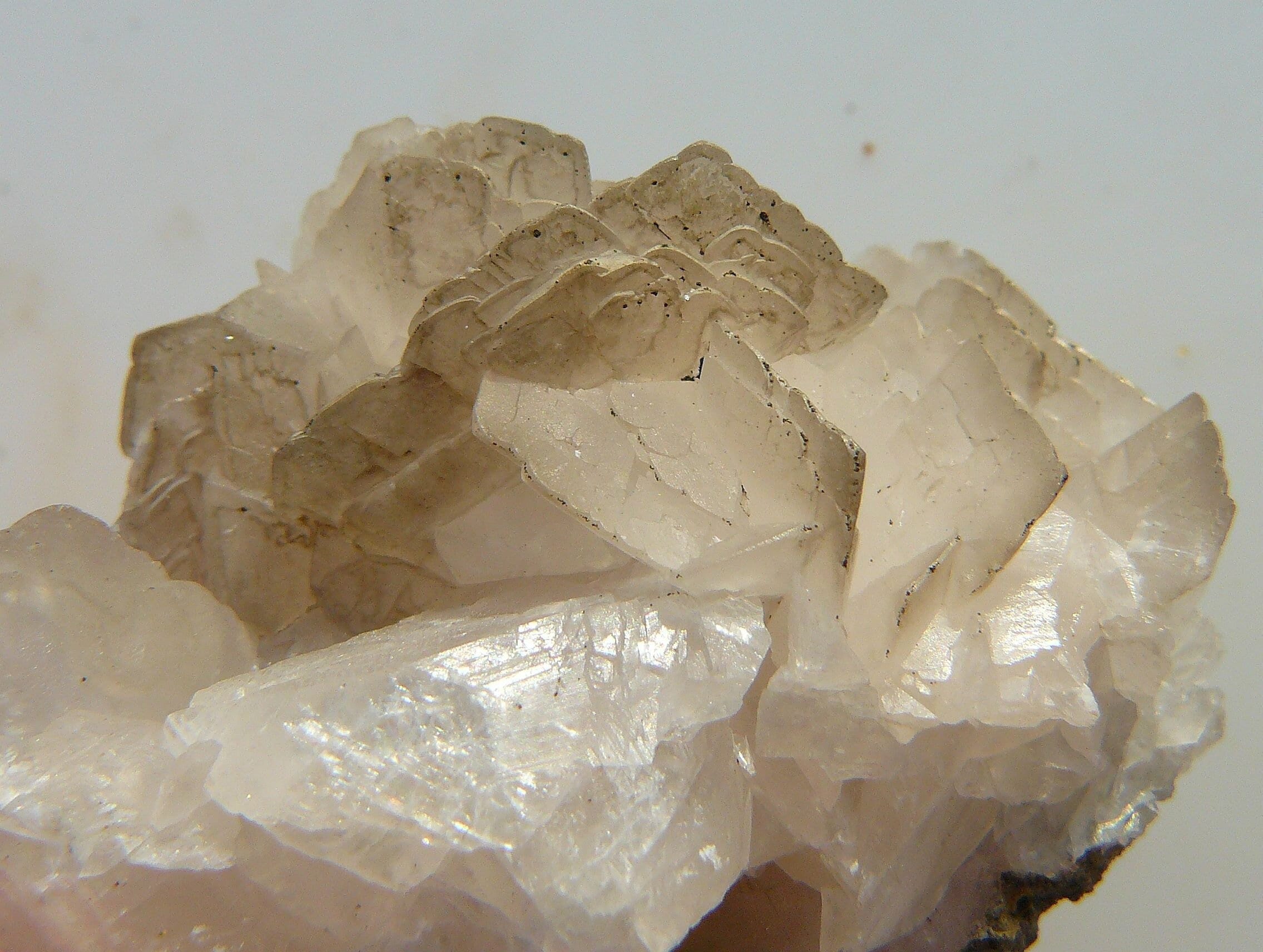 Angel Wing Calcite - Smallcleugh Mine (Longcleugh Mine), Nenthead, Alston Moor, UK - 50x35x34mm / 44.6g - Bogg Shaft Area of the Mine