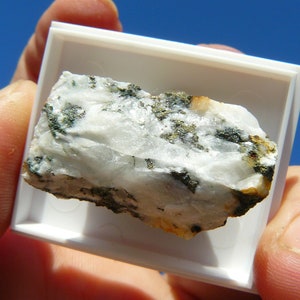 Puede incluir: Una roca blanca con una textura rugosa e inclusiones minerales verde oscuro y marrón. La roca está en una caja de exhibición blanca.