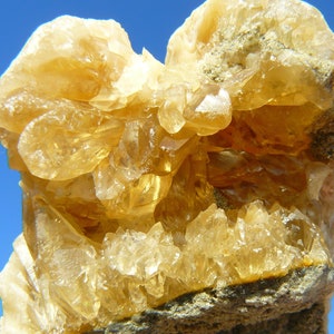 Honey Calcite Crystals in Fossilized Clamshell (Mercenaria permagna) - 90x45x58mm / 171.7g - Rucks Pit, Florida, USA