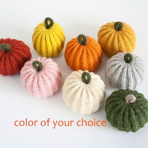 Choose Your Color Pumpkin, Distressed, Fall Tray Shelf Decor Indoor, Thanksgiving, Halloween, Autumn Garland, Dopamine Decor, Boo Basket