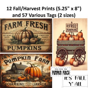 Fall Harvest Prints & Tags: Pumpkin Clipart (Digital Download)