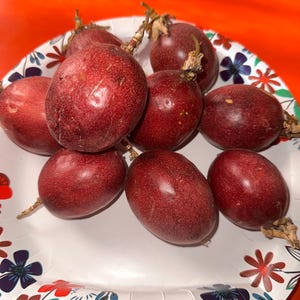 Passion Fruit Organic