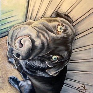 Custom Pet Portrait