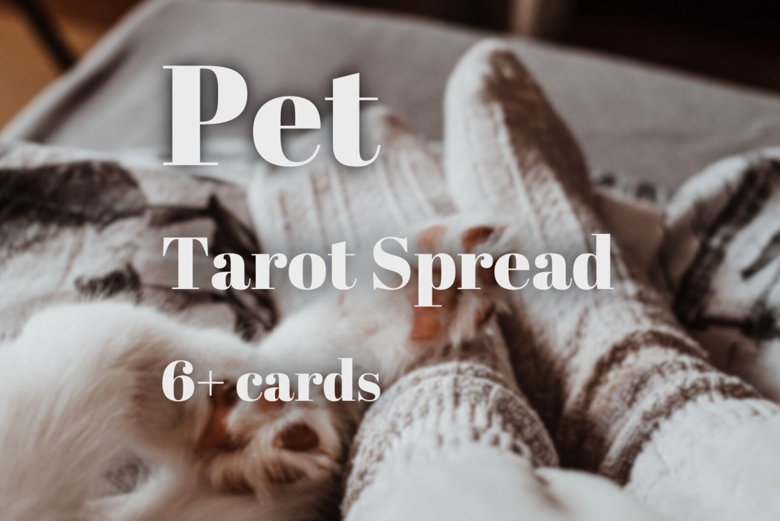 Pet Tarot Spread Etsy