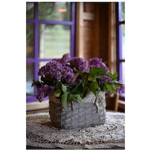 Ramo de lilas, bodegón con lilas. Hermoso ramo de flores lilas.