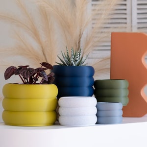 May include: Five different coloured ceramic planters with a variety of plants. The planters are all round and have a ribbed design. The plants include a succulent, a leafy plant, and a fern.