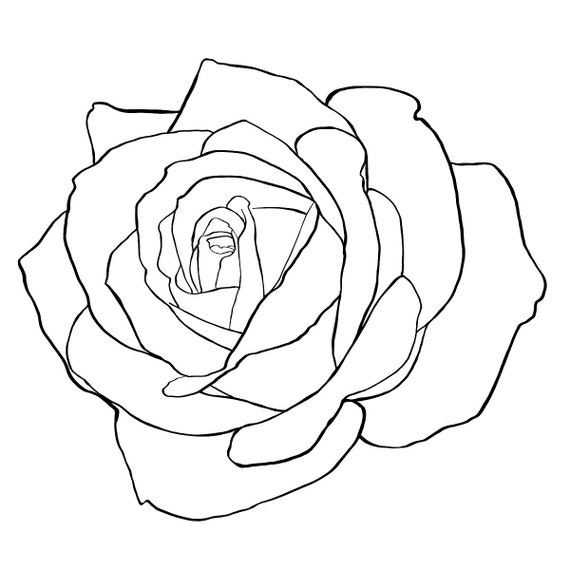 Roses Line Art Vector Flowers - Design Cuts