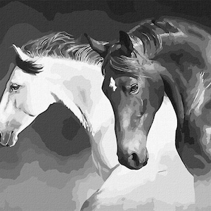 Horses paint by number kit with Frame! Color by numbers kit. Adult coloring kit. Modern paint by number. Paint by numbers for adults
