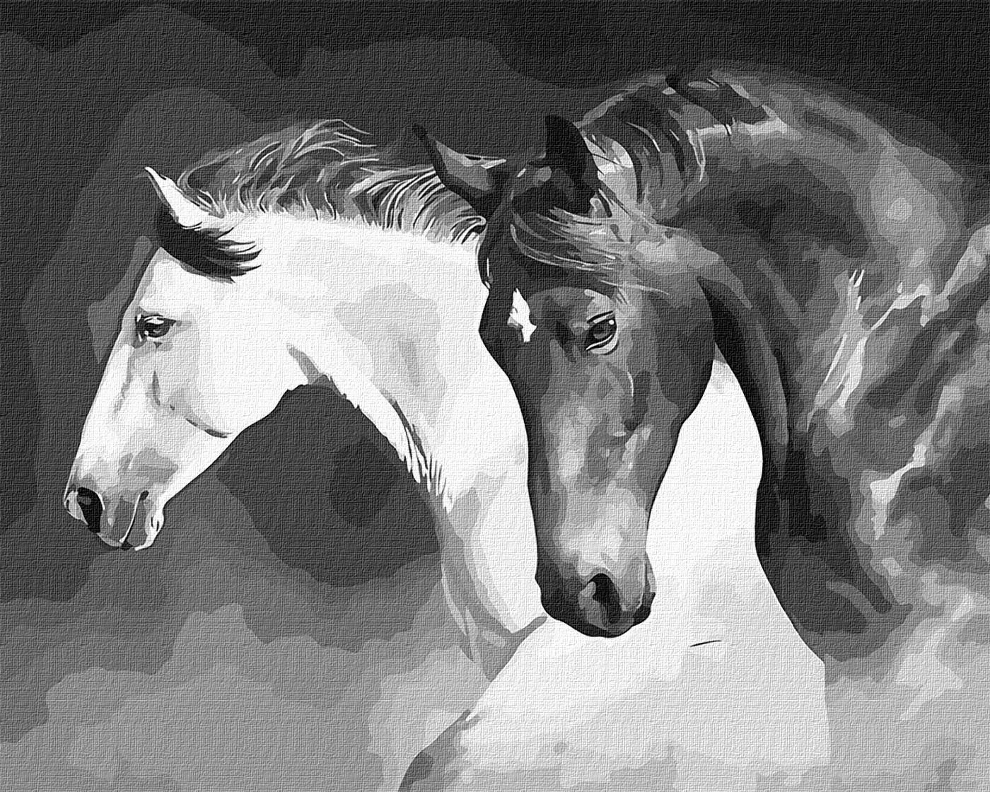 Horses Paint by Number Kit With Frame Color by Numbers Kit. Adult